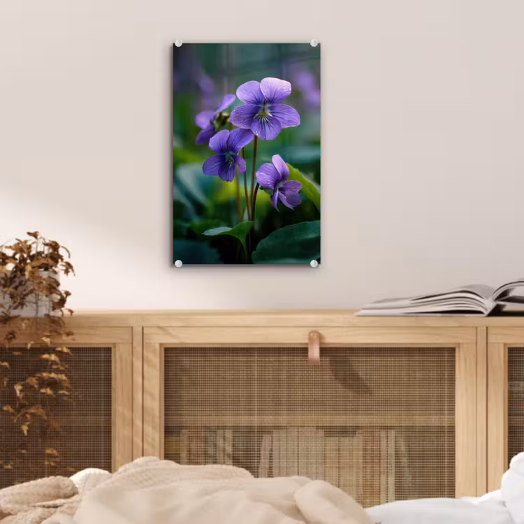 Glas schilderij - Viooltjes - Paars - Bloem - Bladeren — 5