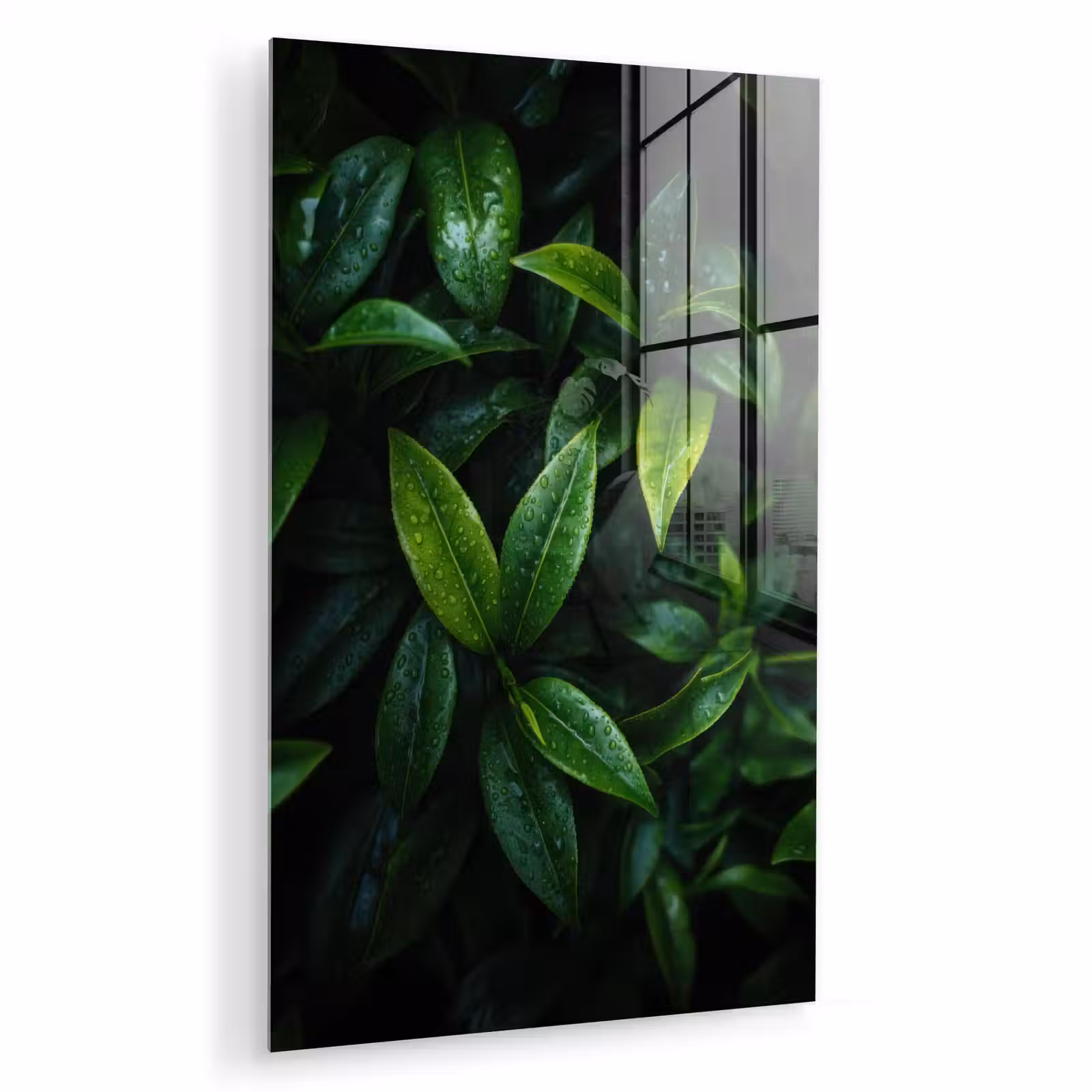Glas schilderij - Bladeren - Regendruppels - Licht - Groen — 1