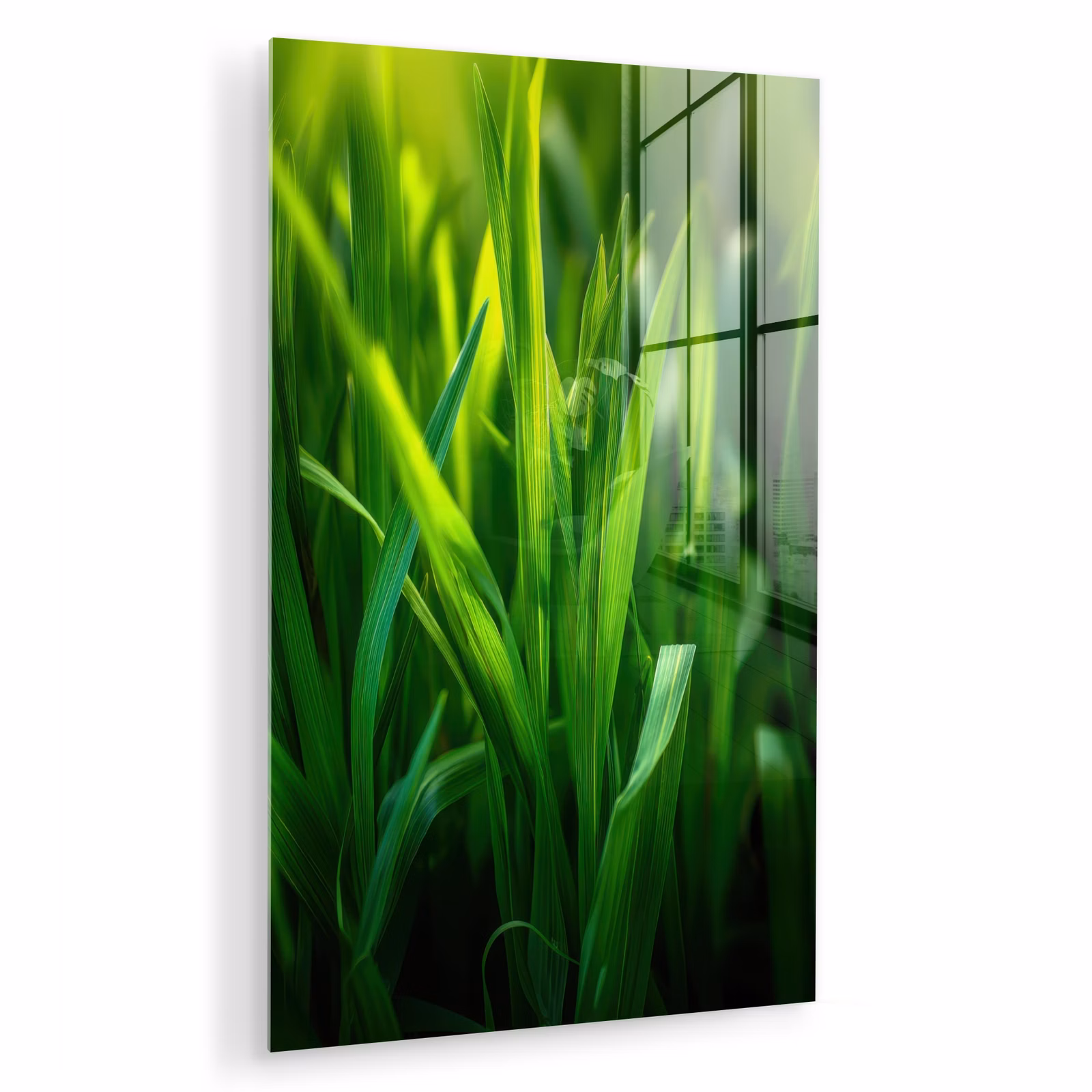 Glas schilderij - Grassprieten - Lichtinval - Groen — 1