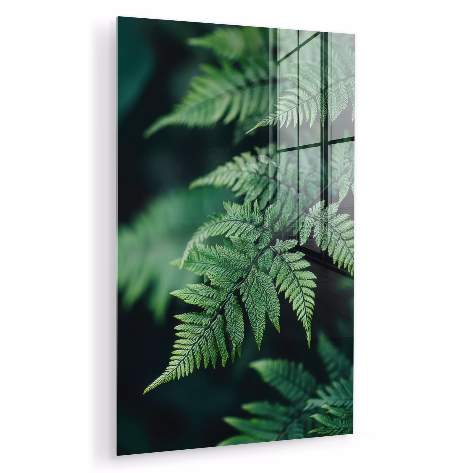 Glas schilderij - Varenblad - Groen - Structuur - Wazig — 1