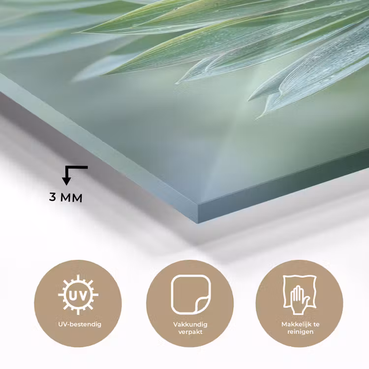 Glas schilderij - Blad - Plant - Groen - Textuur — 3
