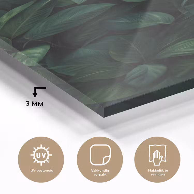 Glas schilderij - Bladeren - Ovaal - Groen - Nerven — 3