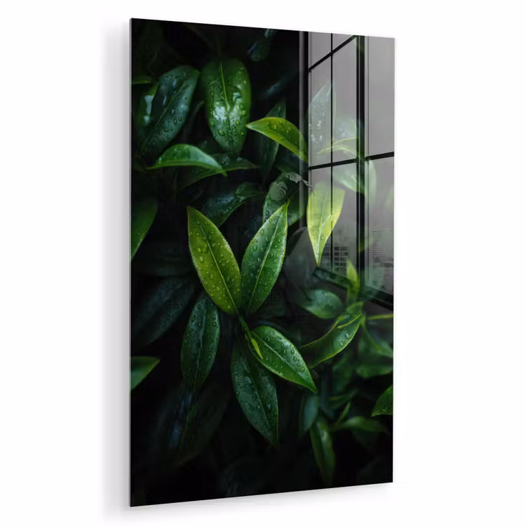 Glas schilderij - Bladeren - Regendruppels - Licht - Groen — 1