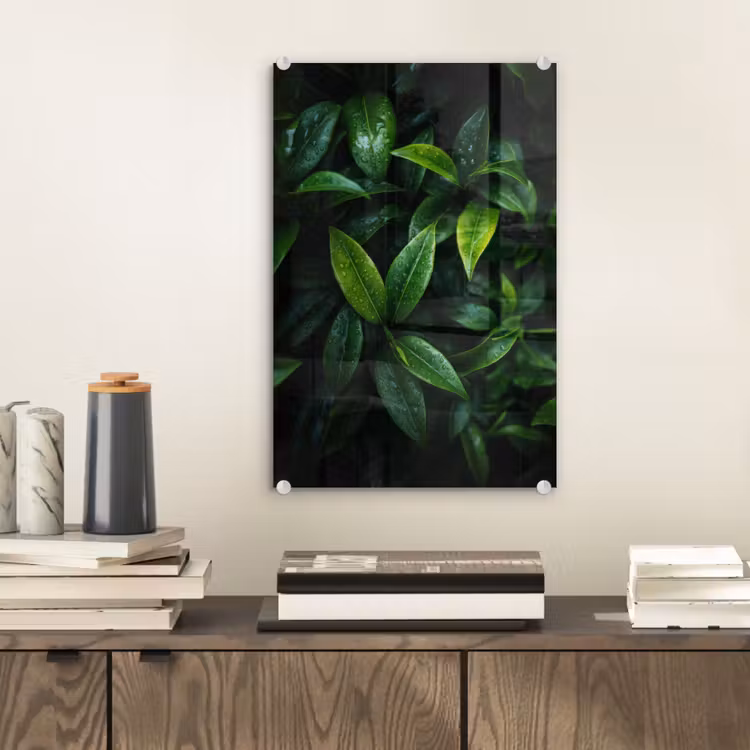 Glas schilderij - Bladeren - Regendruppels - Licht - Groen — 2