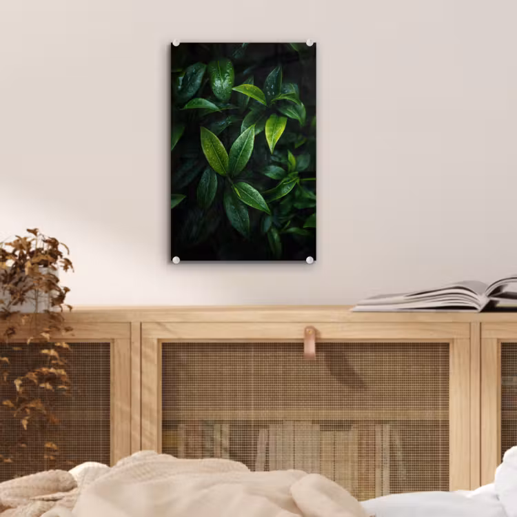 Glas schilderij - Bladeren - Regendruppels - Licht - Groen — 5