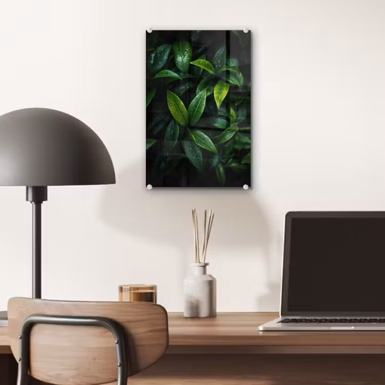 Glas schilderij - Bladeren - Regendruppels - Licht - Groen — 7