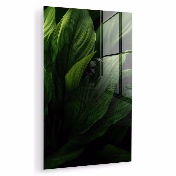 Glas schilderij - Bladeren - Schaduw - Groen - Textuur — 1