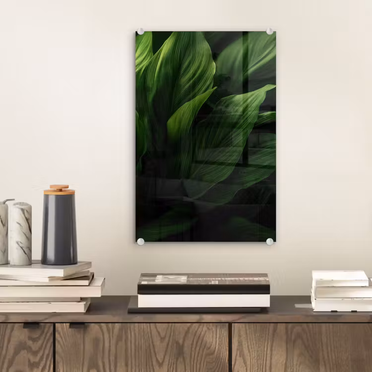 Glas schilderij - Bladeren - Schaduw - Groen - Textuur — 2