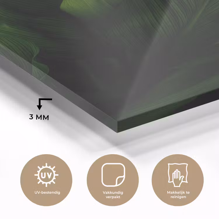 Glas schilderij - Bladeren - Schaduw - Groen - Textuur — 3