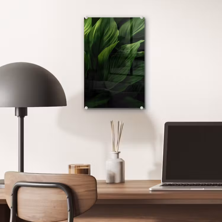 Glas schilderij - Bladeren - Schaduw - Groen - Textuur — 7