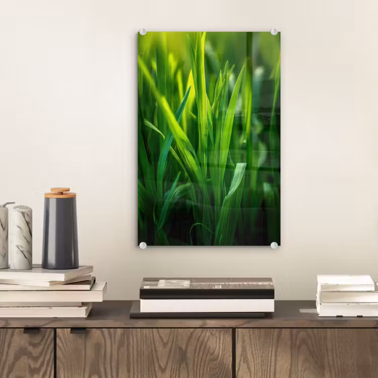 Glas schilderij - Grassprieten - Lichtinval - Groen — 2