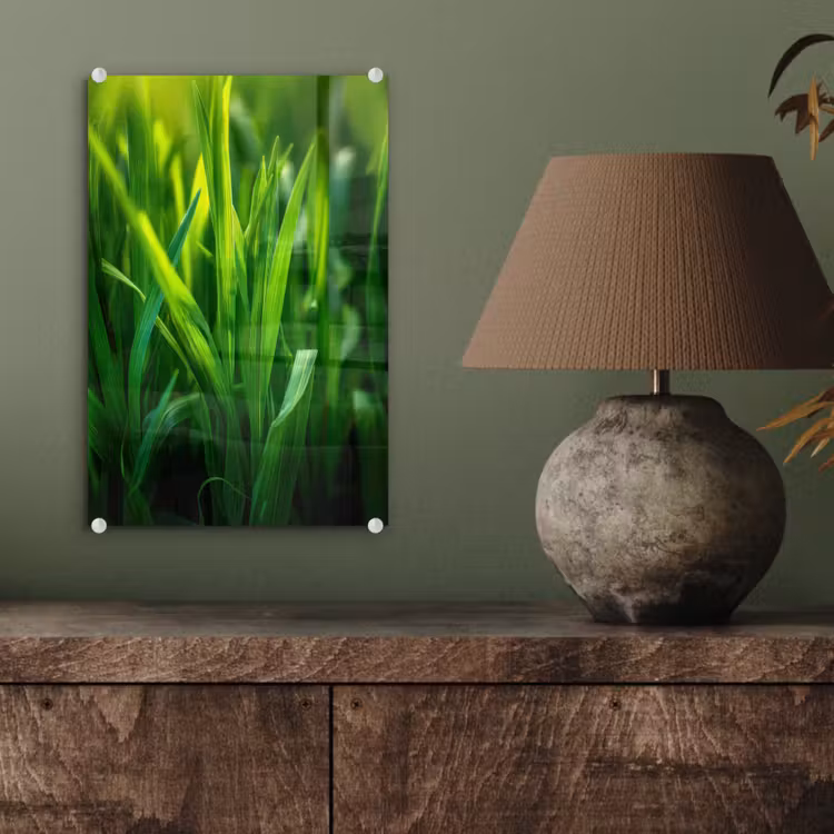 Glas schilderij - Grassprieten - Lichtinval - Groen — 4
