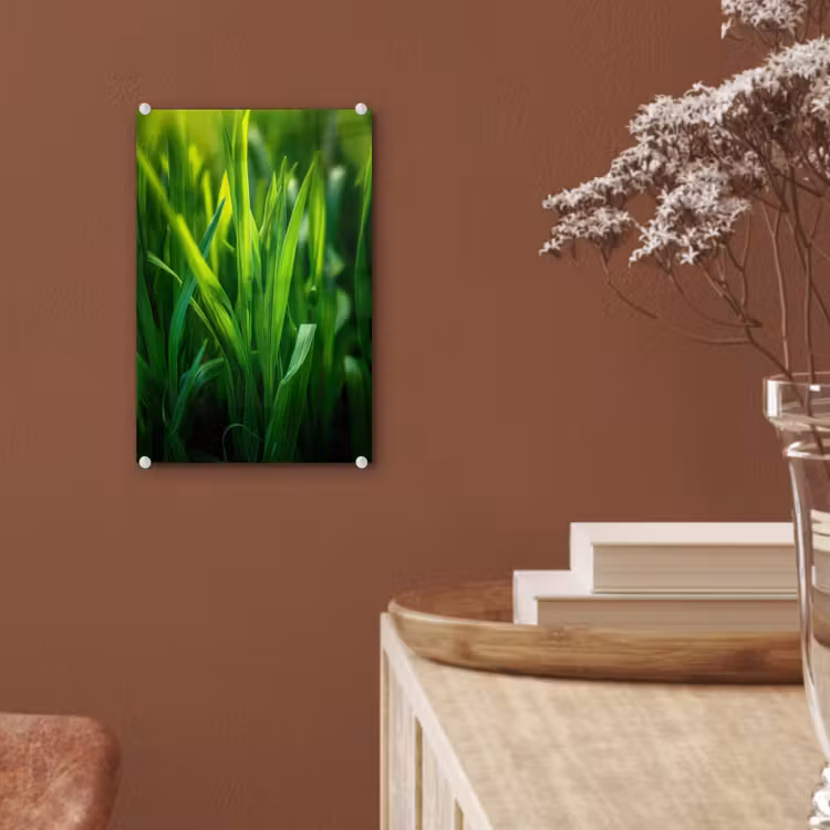 Glas schilderij - Grassprieten - Lichtinval - Groen — 6