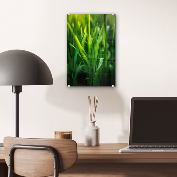 Glas schilderij - Grassprieten - Lichtinval - Groen — 7