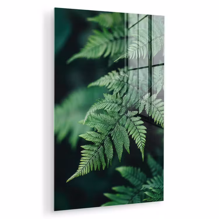 Glas schilderij - Varenblad - Groen - Structuur - Wazig — 1