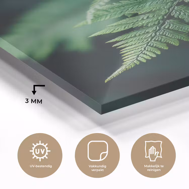 Glas schilderij - Varenblad - Groen - Structuur - Wazig — 3