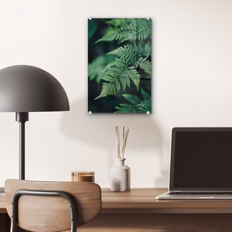 Glas schilderij - Varenblad - Groen - Structuur - Wazig — 7