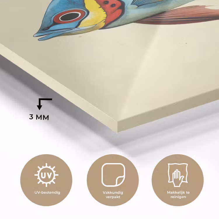Glas schilderij - Blauw - Kieuwen - Vis - Illustratie — 3