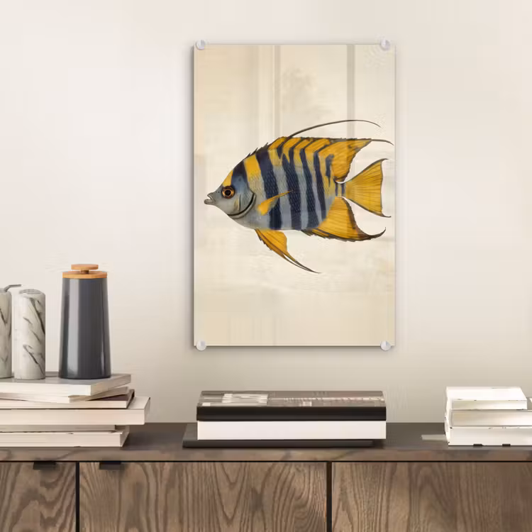 Glas schilderij - Vis - Sierlijk - Vinnen - Illustratie — 2