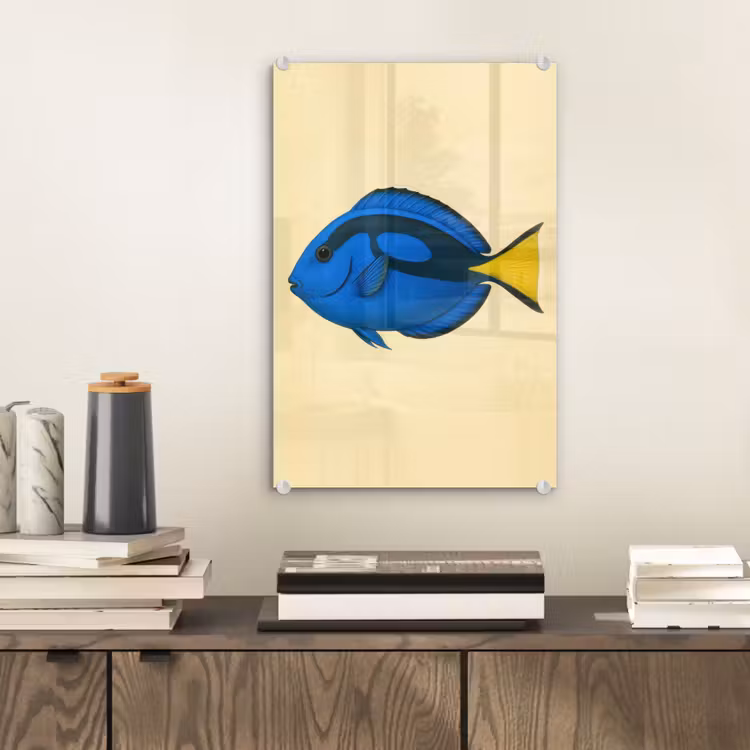 Glas schilderij - Blauw - Dory - Vis - Staartvin — 2