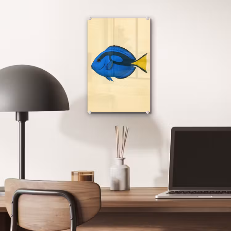 Glas schilderij - Blauw - Dory - Vis - Staartvin — 7
