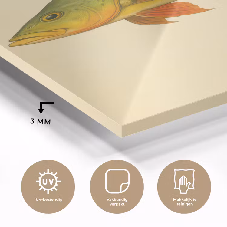 Glas schilderij - Schubben - Vis - Groen - Illustratie — 3
