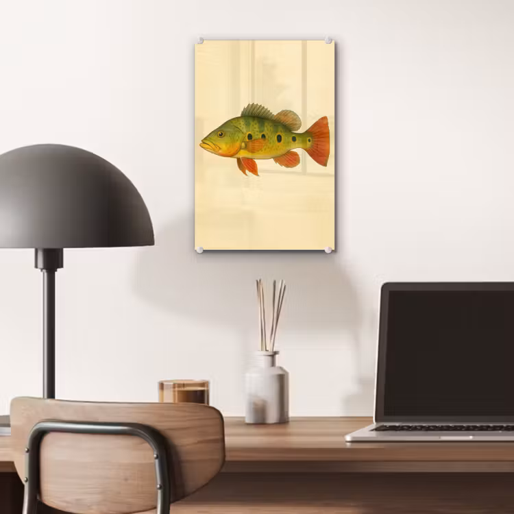 Glas schilderij - Schubben - Vis - Groen - Illustratie — 7