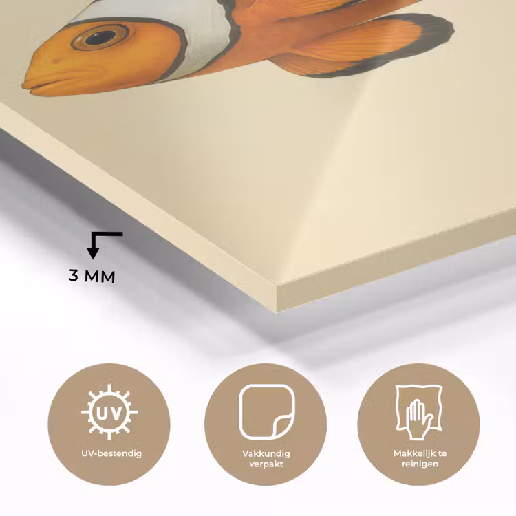 Glas schilderij - Vis - Oranje - Strepen — 3