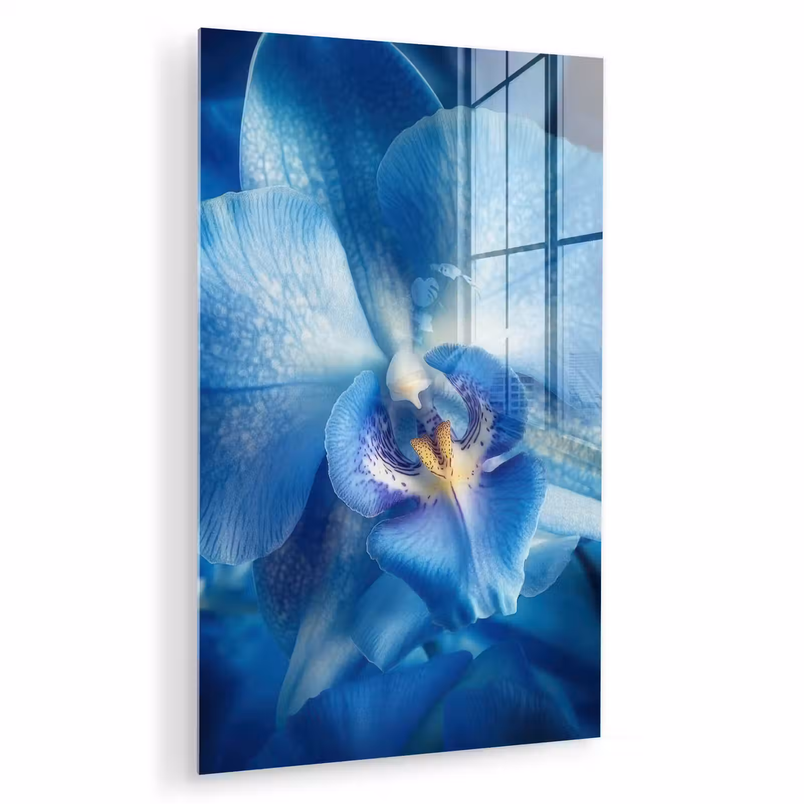 Glas schilderij - Blauw - Orchidee - Elegeant — 1