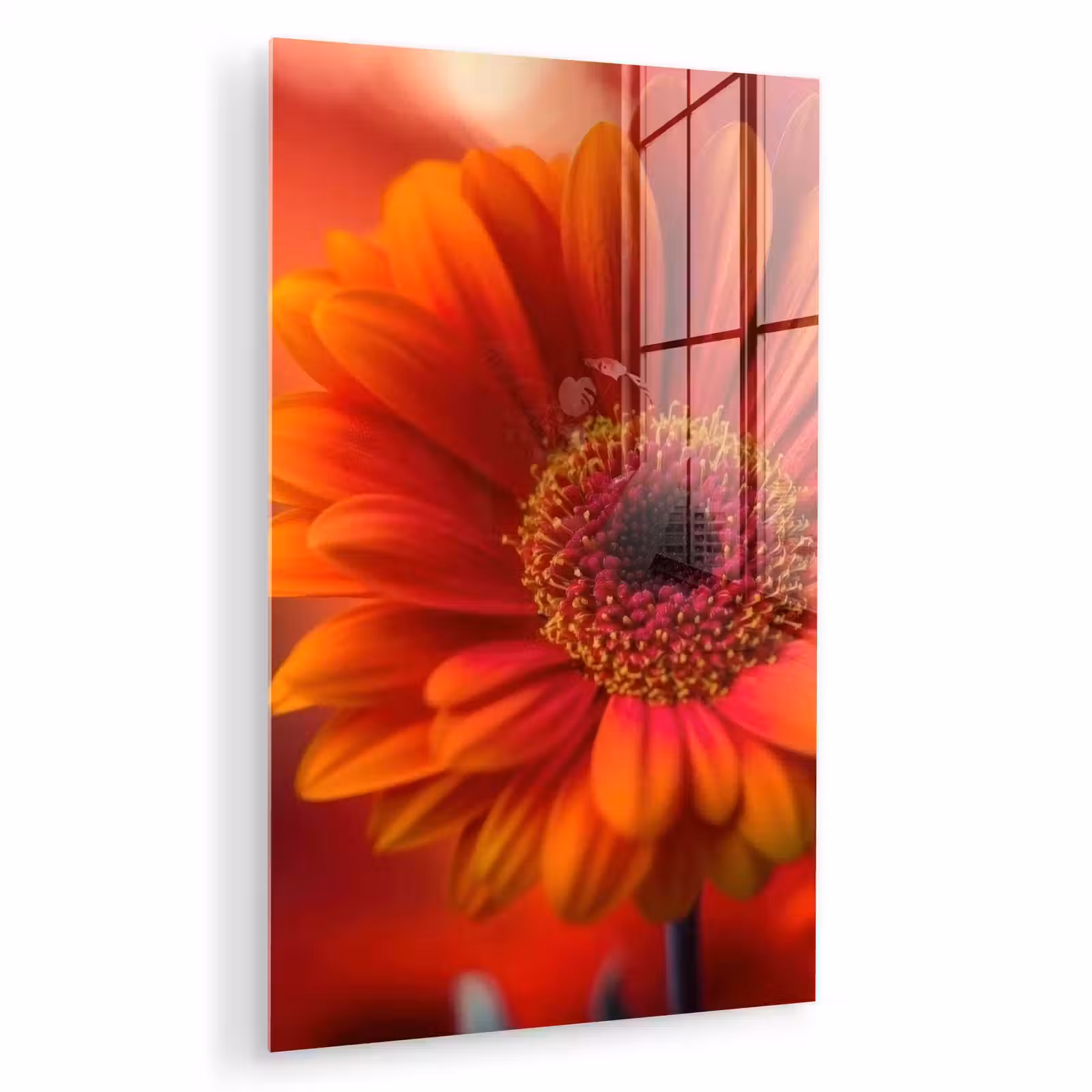 Glas schilderij - Oranje - Gerbera - Intens — 1