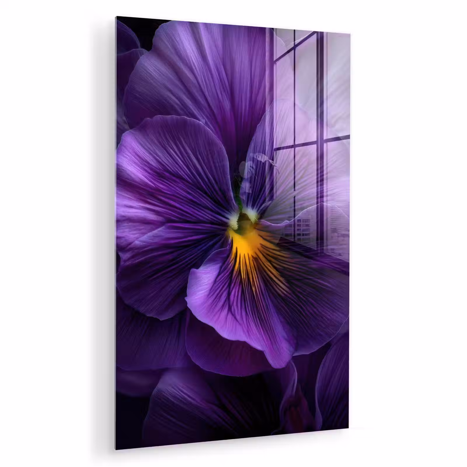 Glas schilderij - Paars - Viool - Diepte — 1