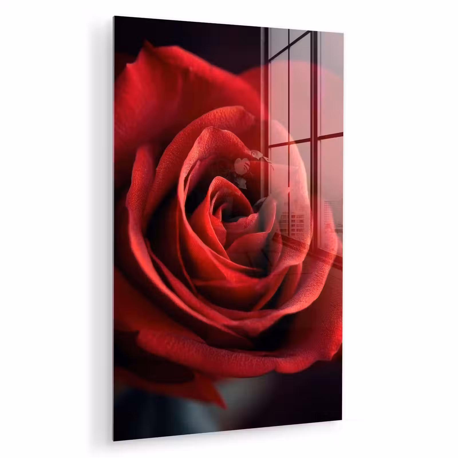 Glas schilderij - Rood - Roos - Romantisch — 1