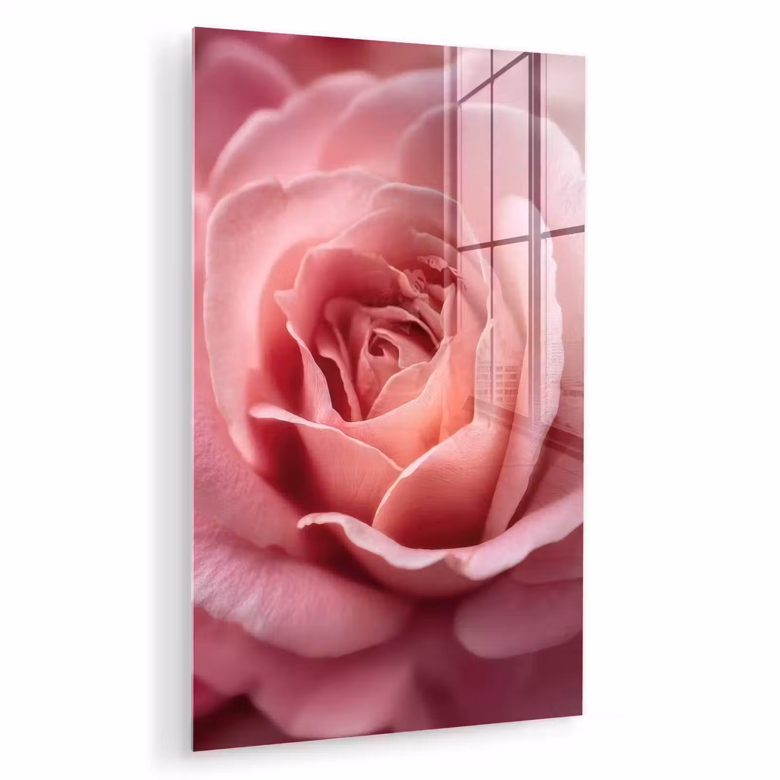 Glas schilderij - Roze - Roos - Romantisch — 1