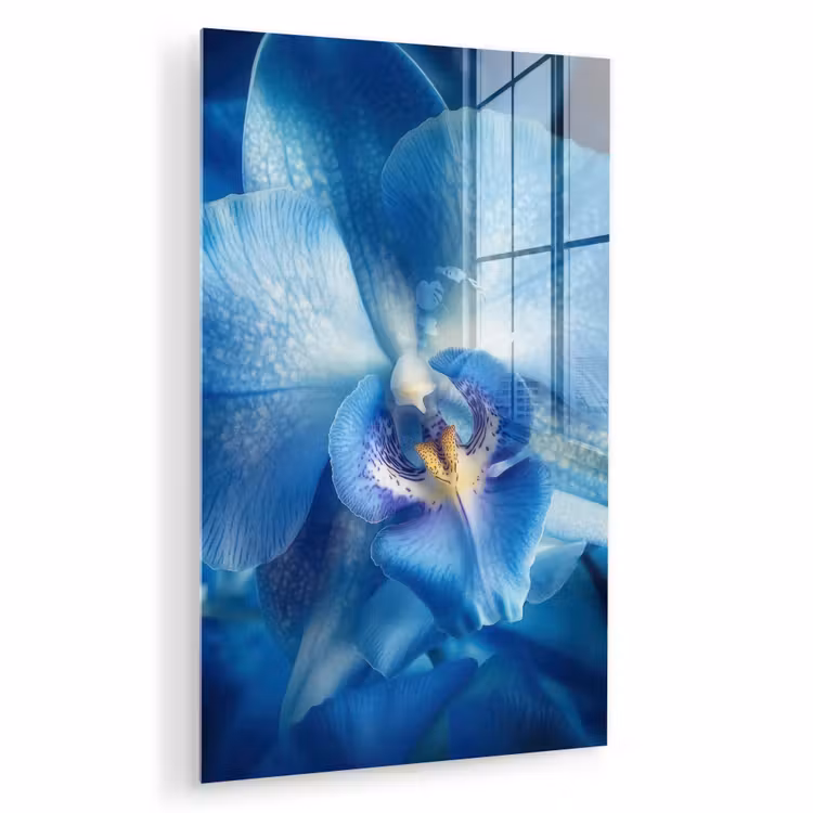 Glas schilderij - Blauw - Orchidee - Elegeant — 1