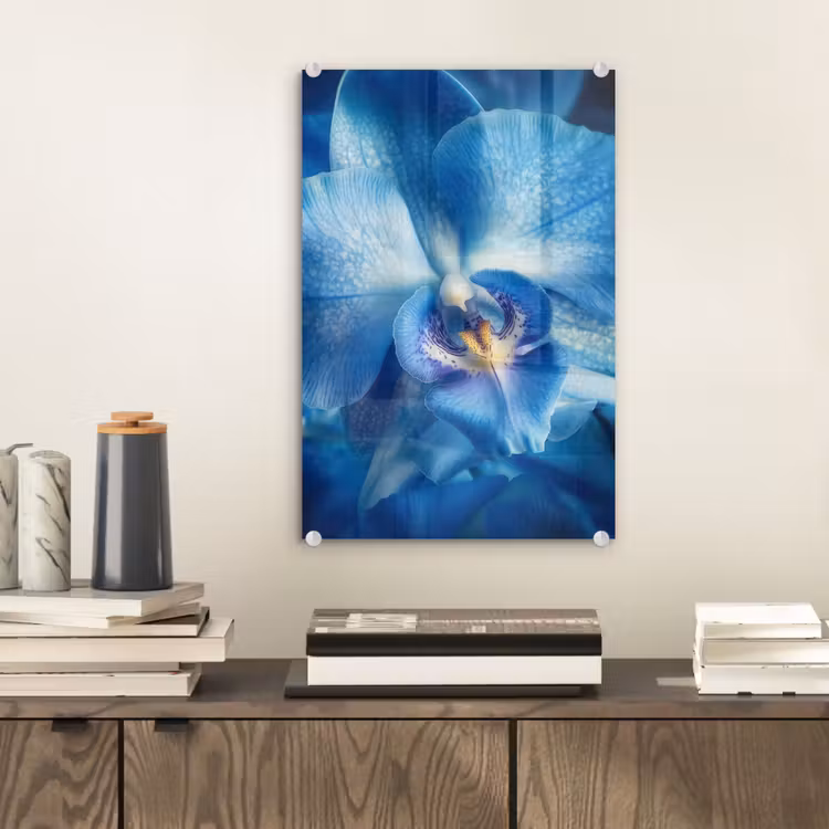 Glas schilderij - Blauw - Orchidee - Elegeant — 2