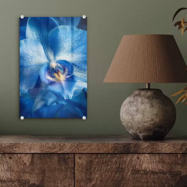 Glas schilderij - Blauw - Orchidee - Elegeant — 4
