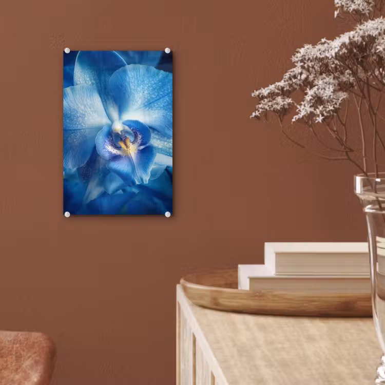 Glas schilderij - Blauw - Orchidee - Elegeant — 6