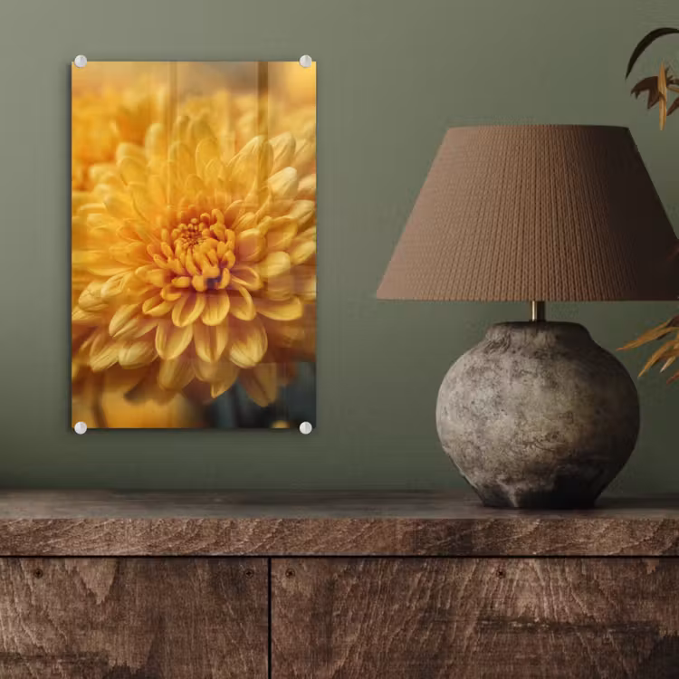 Glas schilderij - Geel - Chrysant - Zachtheid — 4
