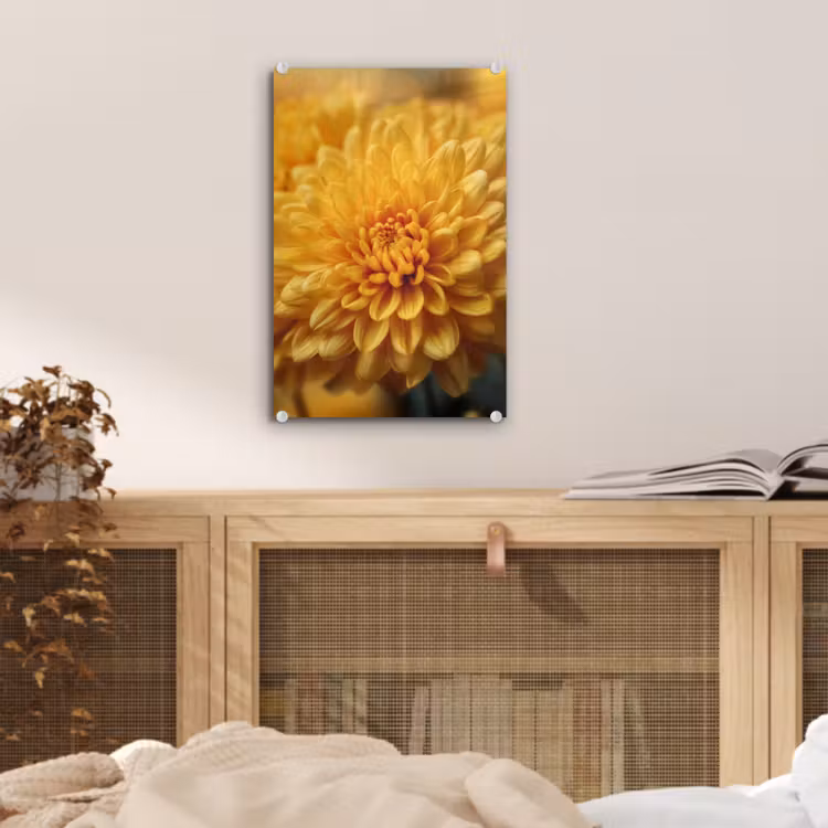 Glas schilderij - Geel - Chrysant - Zachtheid — 5