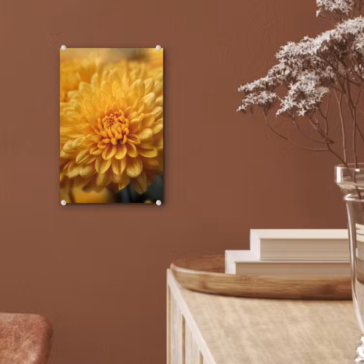 Glas schilderij - Geel - Chrysant - Zachtheid — 6