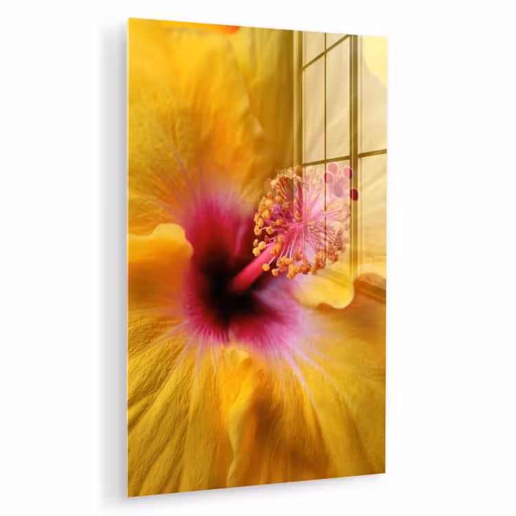 Glas schilderij - Geel - Hibiscus - Tropisch — 1