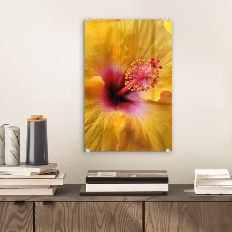 Glas schilderij - Geel - Hibiscus - Tropisch — 2