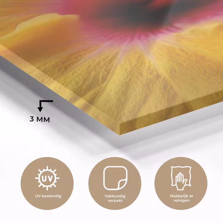 Glas schilderij - Geel - Hibiscus - Tropisch — 3