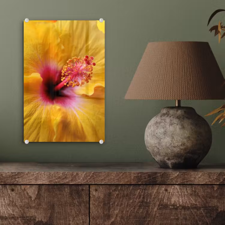 Glas schilderij - Geel - Hibiscus - Tropisch — 4