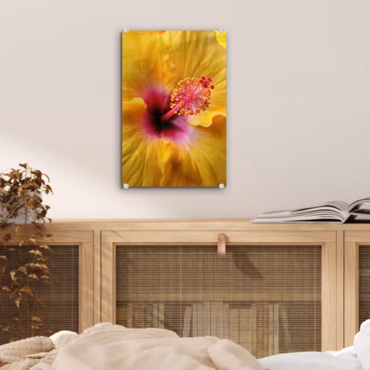 Glas schilderij - Geel - Hibiscus - Tropisch — 5
