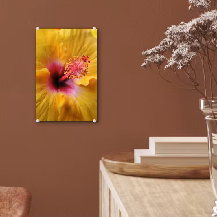 Glas schilderij - Geel - Hibiscus - Tropisch — 6