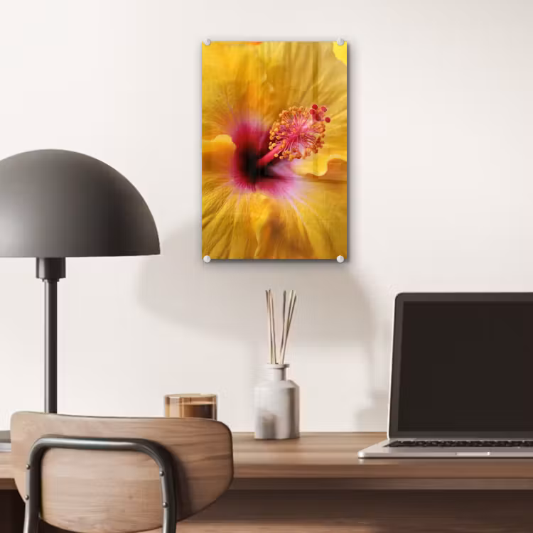 Glas schilderij - Geel - Hibiscus - Tropisch — 7