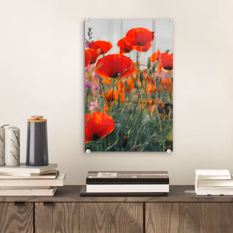 Glas schilderij - Klaproos - Bloemen - Rood - Paars - Weide — 2