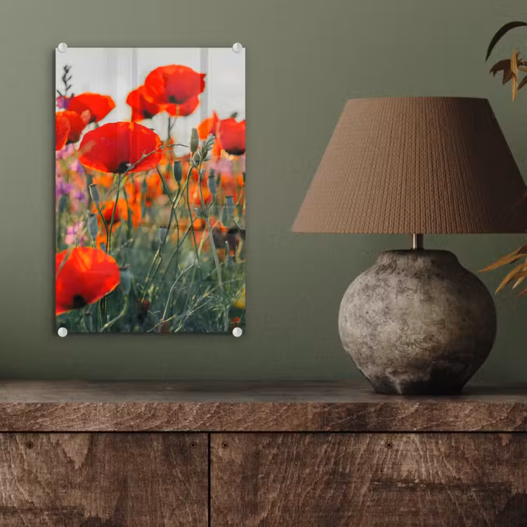 Glas schilderij - Klaproos - Bloemen - Rood - Paars - Weide — 4