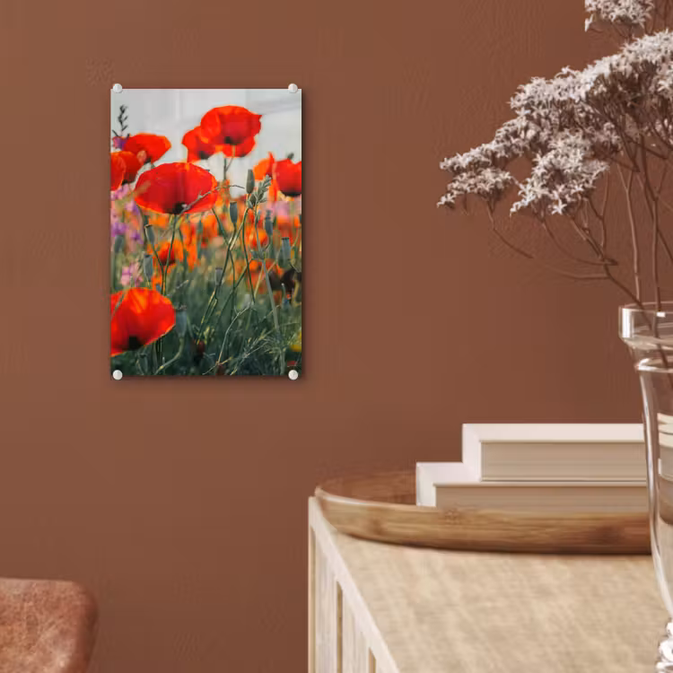 Glas schilderij - Klaproos - Bloemen - Rood - Paars - Weide — 6